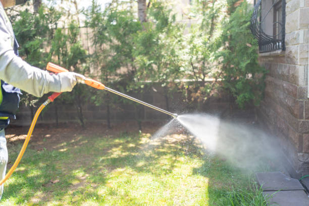 Professional Pest control in Woodbine, IA